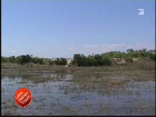 Lebe Deinen Traum (Live your dream)