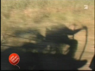 Lebe Deinen Traum (Live your dream), #2