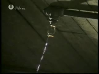 PlayboyÂ´s Wet & Wild