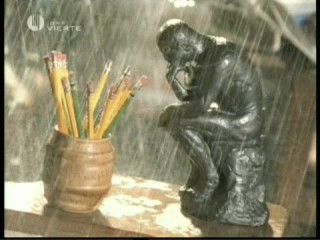 PlayboyÂ´s Wet & Wild