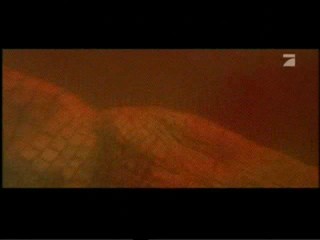 Anacondas: The Hunt For The Blood Orchid