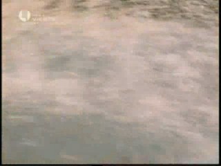 Playboy Tele Twins, Miss December