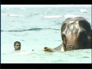 Travel Channel Documentary