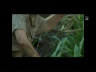 Crocodile Hunter â€“ Auf Crash-Kurs