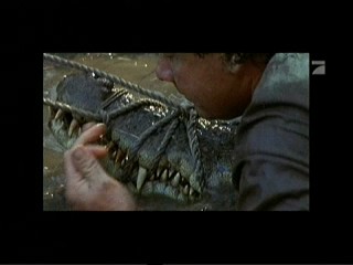 Crocodile Hunter â€“ Auf Crash-Kurs