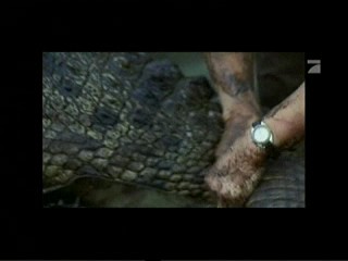 Crocodile Hunter â€“ Auf Crash-Kurs