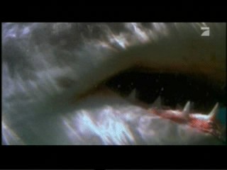 Shark Attack 3 - Megalodon, #2/2