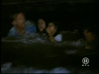 The New Swiss Family Robinson, #1/2