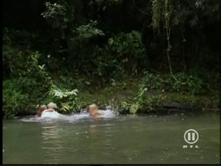 The New Swiss Family Robinson, #1/2