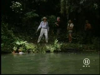 The New Swiss Family Robinson, #1/2