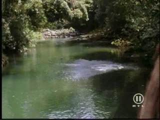 The New Swiss Family Robinson, #2/2