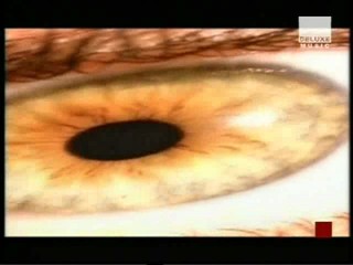 Meat Loaf - I Will Do Anything for Love (but I won't do that)