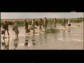 Heisser Sommer (Hot Summer)