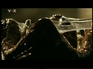 Alien Resurrection, #2/2