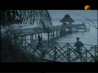 I Still Know What You Did Last Summer