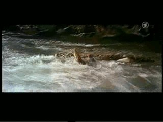 How The West Was Won