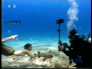 Voxtours - Dominican Republic