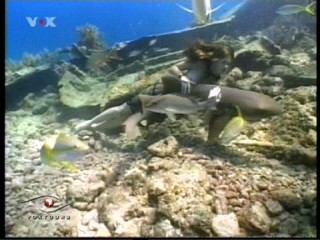 Voxtours - Dominican Republic