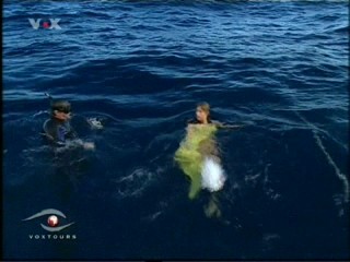 Voxtours - Dominican Republic