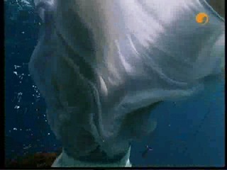 The Finest Hour, # 2/2