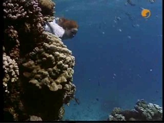 The Finest Hour, # 2/2