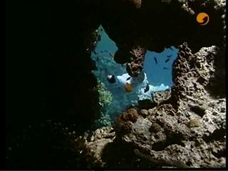 The Finest Hour, # 2/2