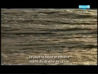 Bikini Contest Foto Session