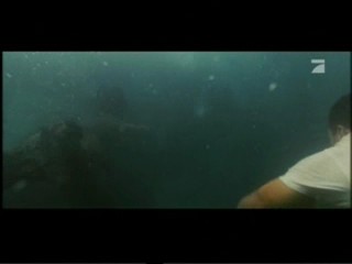 Welcome to the Jungle (uk) / The Rundown (US)