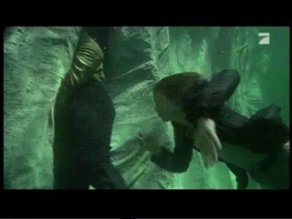 Cascadeur - Die Jagd nach dem Bernsteinzimmer