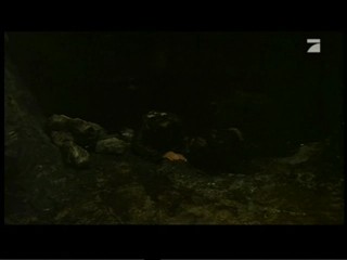 Cascadeur - Die Jagd nach dem Bernsteinzimmer