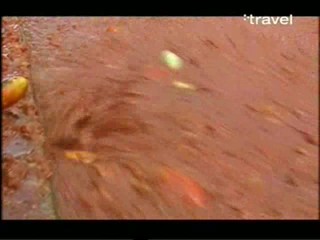 La Tomatina in Bunyol