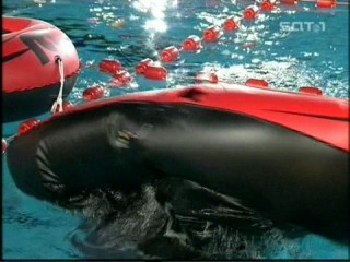 Schiffe Versenken - shooting a single boat