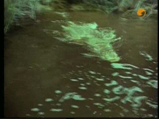 TarzanÂ´s Greatest Adventure