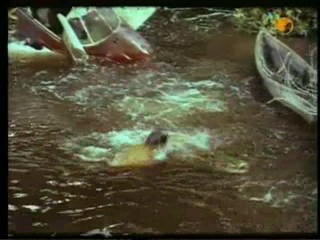 TarzanÂ´s Greatest Adventure