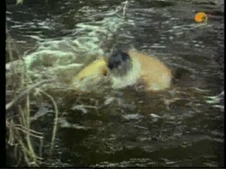 TarzanÂ´s Greatest Adventure