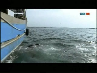 Donna Leon - Das Gesetz der Lagune