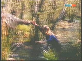 Polizeiruf 110 - Der Mann im Baum