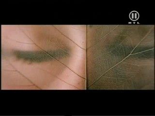 Asoka â€“ Der Weg des Kriegers (Sanskrit, à¤…à¤¶à¥‹à¤•)