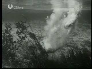 Tarzan's Secret Treasure