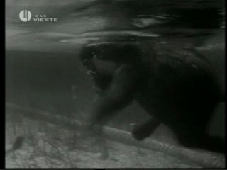 Tarzan's Secret Treasure