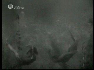 Tarzan's Secret Treasure