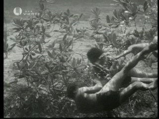 Tarzan's Secret Treasure