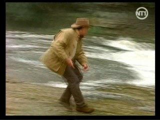 Treacherous Beauties