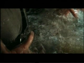 Zoop in South America (1)