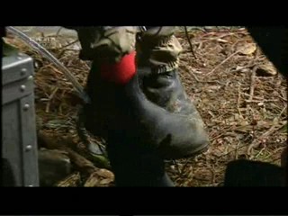 Ich bin ein Star â€“ Holt mich hier raus!