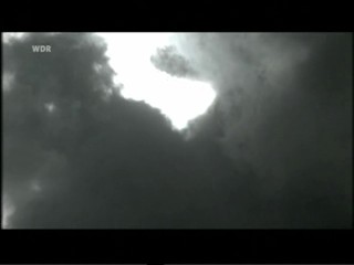 Liebling, bring die HÃ¼hner ins Bett