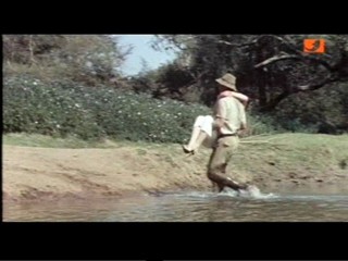 The Gods Must Be Crazy