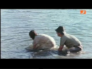 The Gods Must Be Crazy