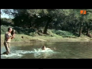 The Gods Must Be Crazy