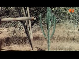 The Gods Must Be Crazy 2